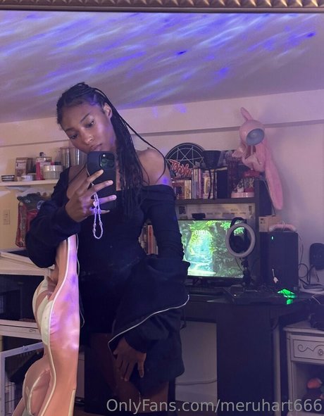 Meruhart666