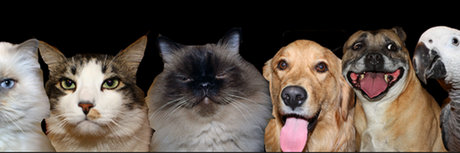 Nacktes geleaktes OnlyFans-Foto von Derick Downs