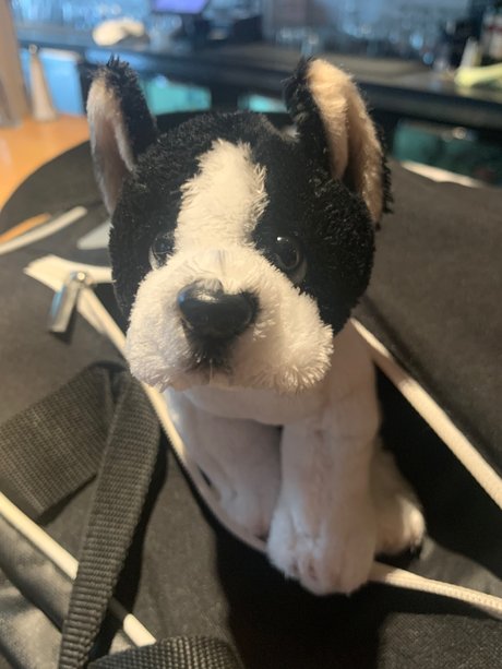 Nacktes geleaktes OnlyFans-Foto von Grey Sweatpants Boy