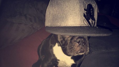 Nacktes geleaktes OnlyFans-Foto von Olsern