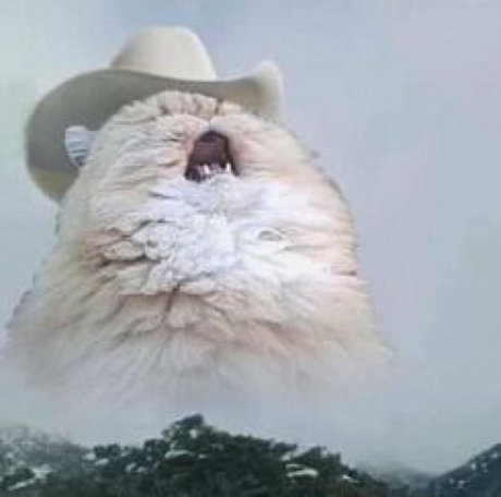 Nacktes geleaktes OnlyFans-Foto von Lola