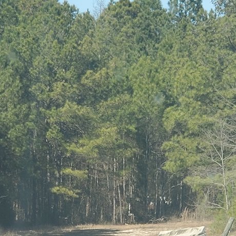 Nacktes geleaktes OnlyFans-Foto von Motown Trucker