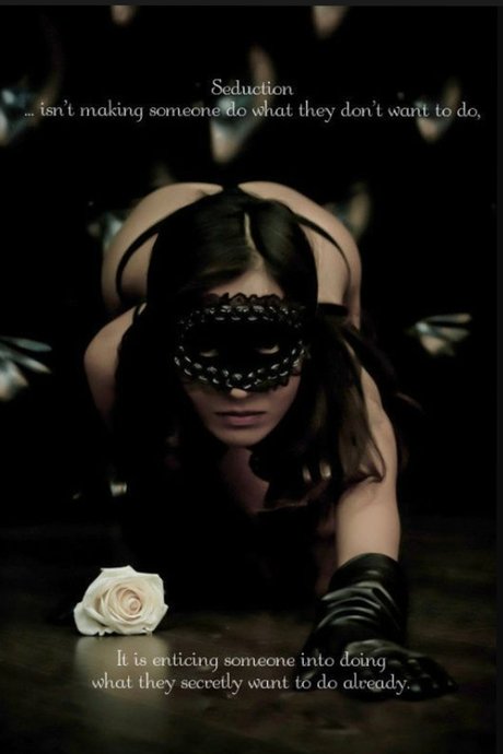 The Art Of Seduction