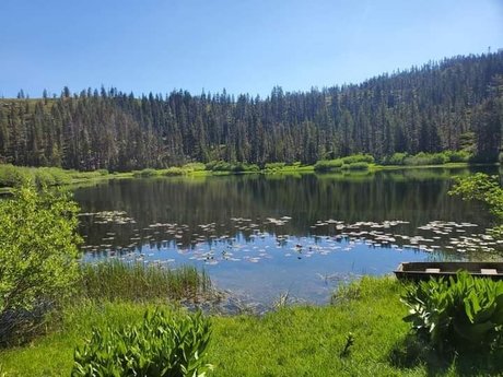 Nacktes geleaktes OnlyFans-Foto von Brandi Benz