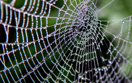 Nacktes geleaktes OnlyFans-Foto von Orbweaver