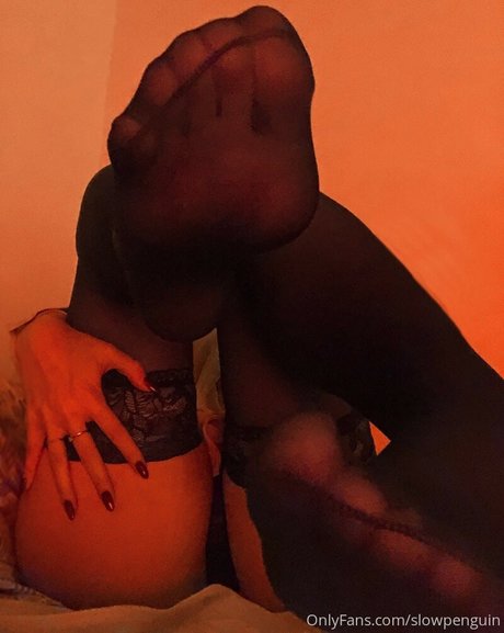 Slowpenguin