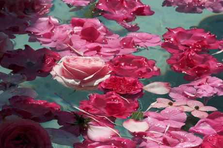 Nacktes geleaktes OnlyFans-Foto von Ruxii 