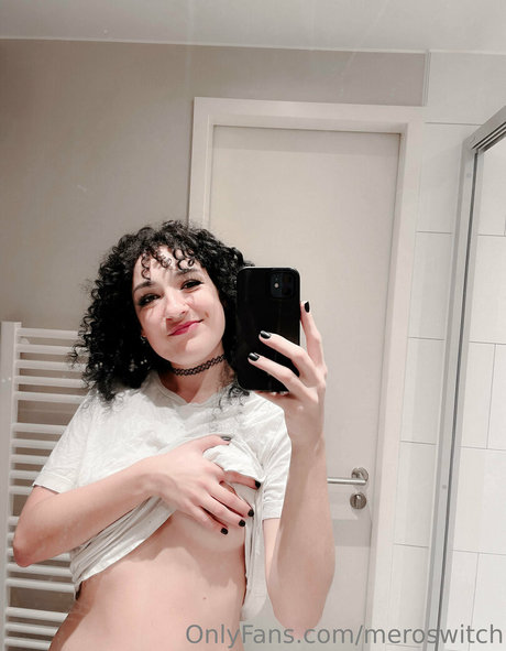 Meroswitch