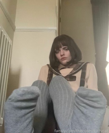 Thecutestkittycat