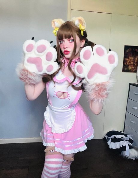 Thecutestkittycat