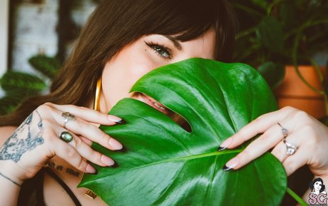 Mimiflowers Mimiflowersss