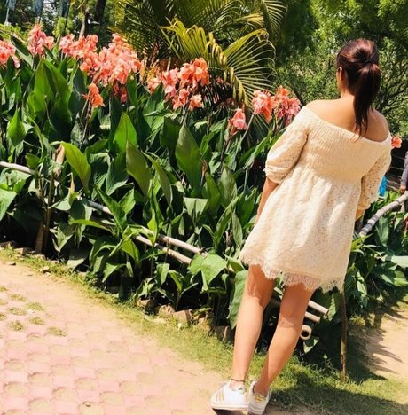 Vansheen Verma Sumbriya