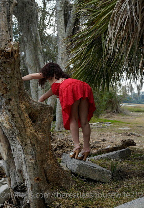 Therestlesshousewife2121