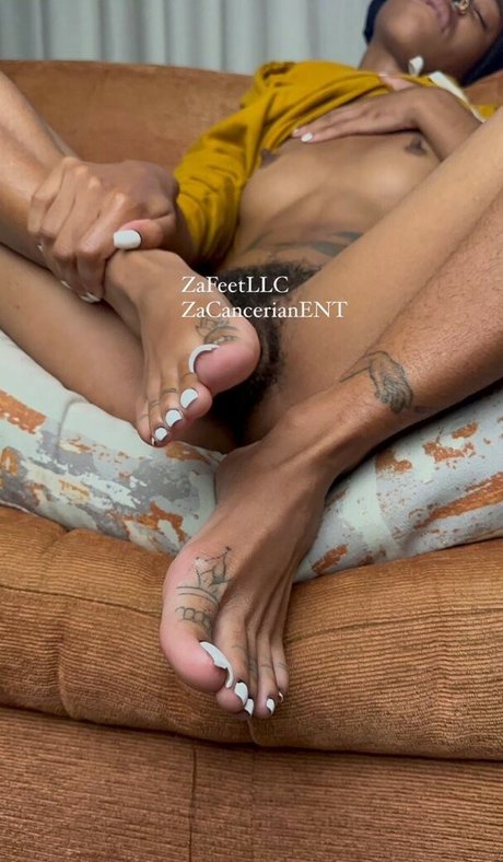 Zafeetllc