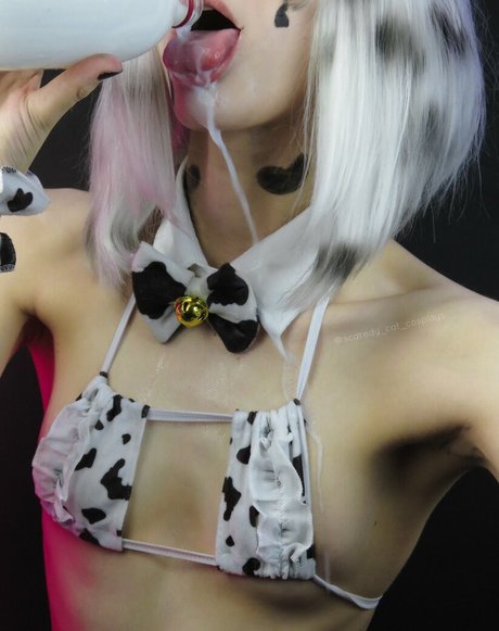 Scaredy Cat Cosplays