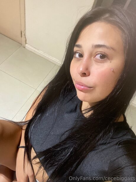 Cecebiggass