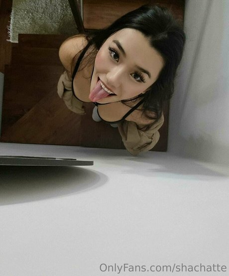Shachatte