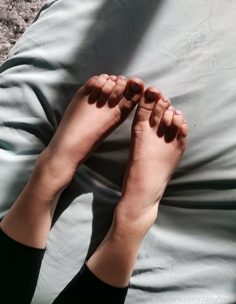 Daisyfxoxo