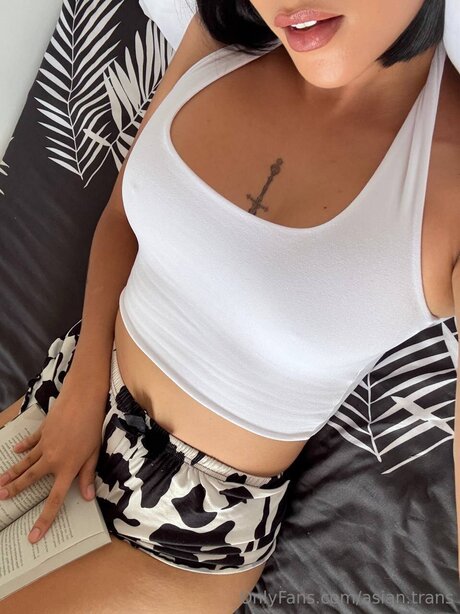 Asian Trans