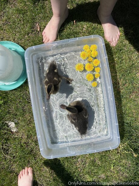 Xsluttycupcakex6669x