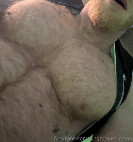 Gingermuscleman