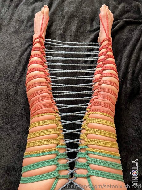 Setonix Shibari