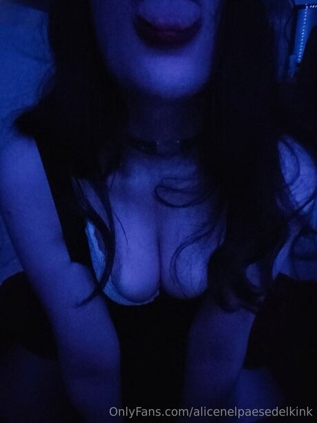 Alicenelpaesedelkink