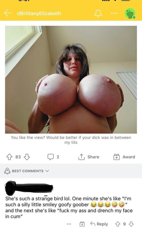 Brittany Elizabeth Welsh