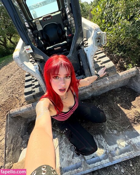 Solomonica De Winter