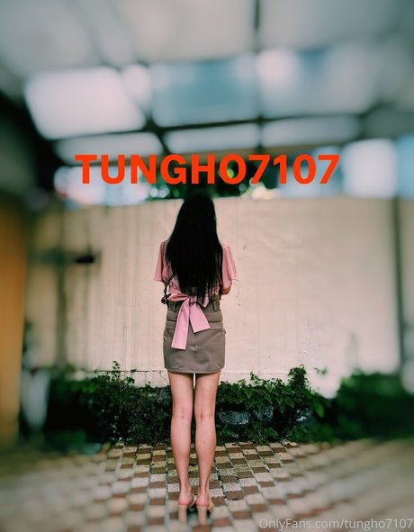 Tungho7107