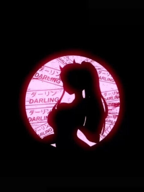 Youre Favorite Kitty