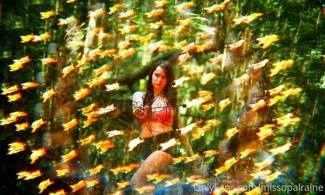 Missopalraine