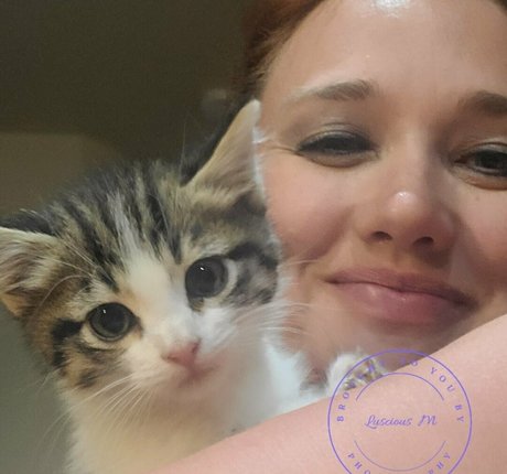 Lusciousmphotographyfree