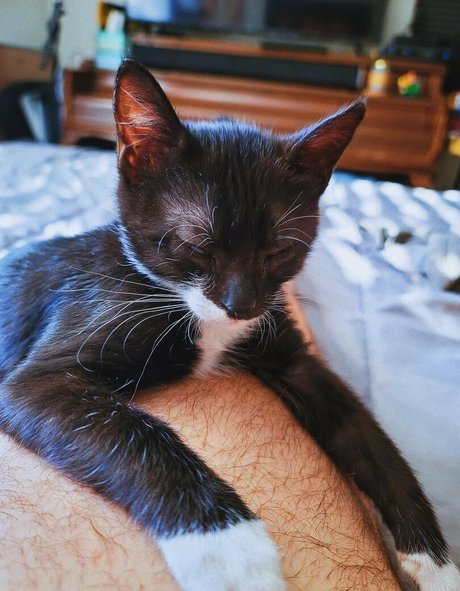 Nacktes geleaktes OnlyFans-Foto von Fosterkittendad