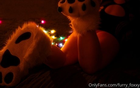 Furryfoxxy