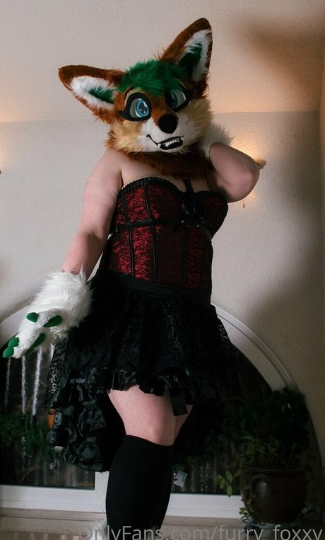 Furryfoxxy