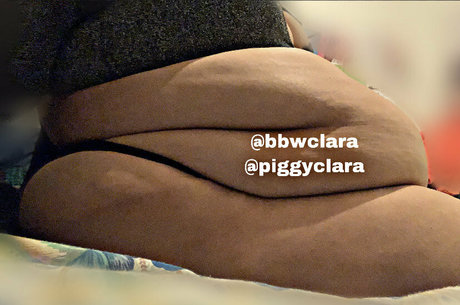 Piggyclara