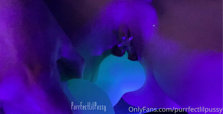 Purrfectlilpussy