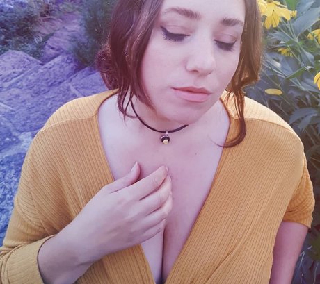 Lartdanstoutessesformes