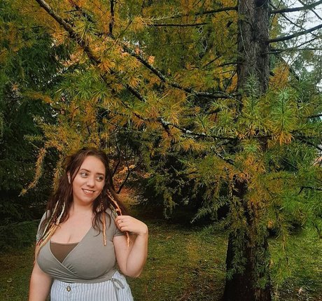 Lartdanstoutessesformes