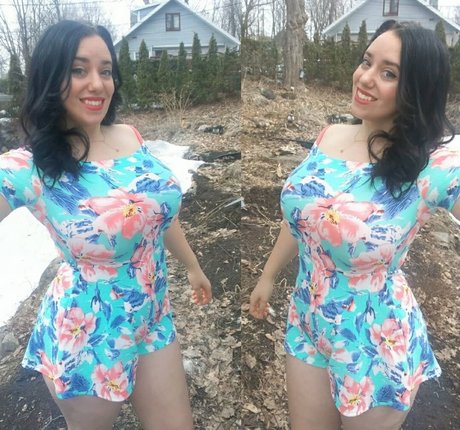 Lartdanstoutessesformes