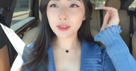 Xchocobars