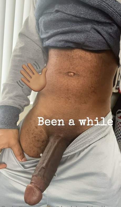 Theblackbullexperience