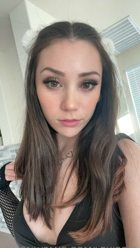 Lexipoll