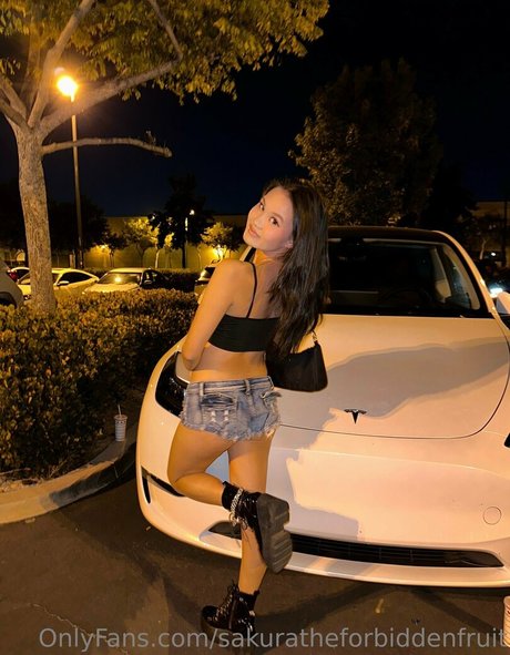 Sakuratheforbiddenfruit