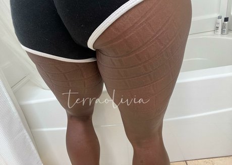 Terra Olivia Vip