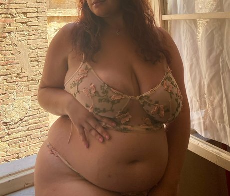 Bbwdemetra