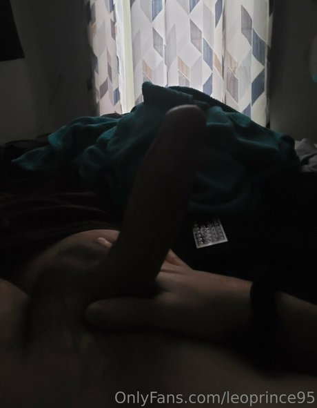 Leoprince95