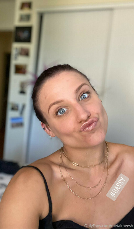 Metalmeesh