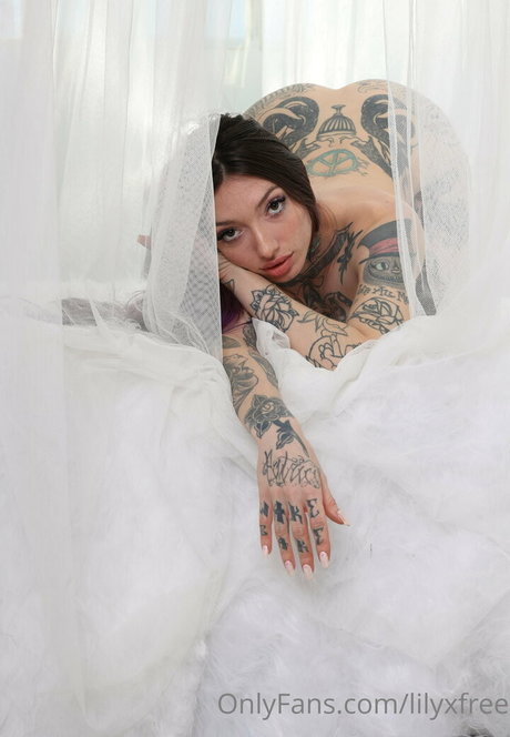 Lilyxfree